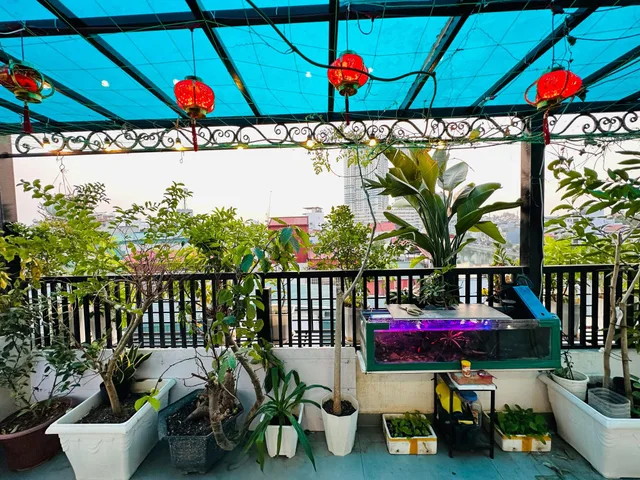 ☕ SÁNG CAFE TẠI GIA - CHIỀU DẠO PHỐ - NHÀ ĐẸP NHƯ STUDIO!