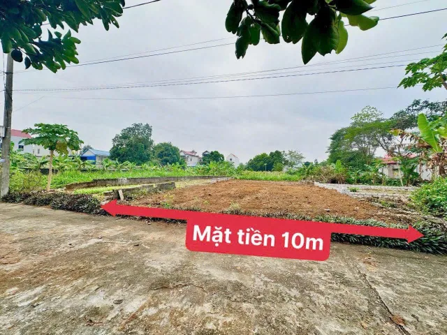 CHÍNH CHỦ CHO THUÊ 240M2 ĐẤT TÁI ĐỊNH CƯ VĂN MỸ - CHƯƠNG MỸ (ĐƯỜNG 5.5M, XE TẢI VÀO TẬN NƠI)
