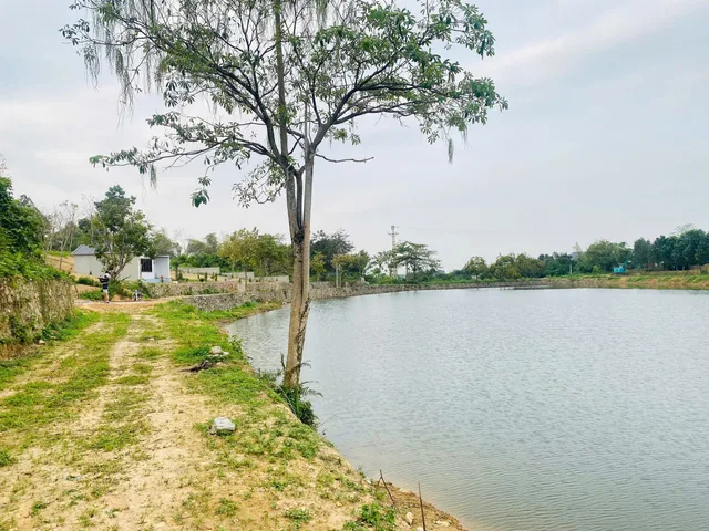 1250m 200tc - lô góc 3 mặt tiền - bám hồ nhỏ - tài chính hơn 11 tỷ