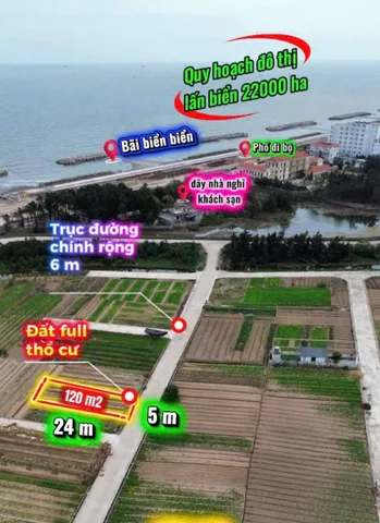 Đúng 1 lô hàng giá ngon cắt lỗ
