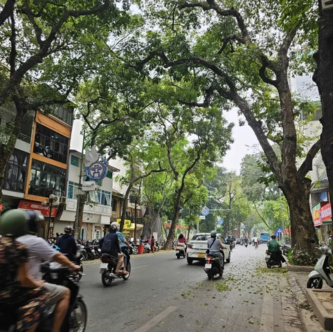 BÁN NHÀ GẦN PHỐ PHAN ĐÌNH PHÙNG – BA ĐÌNH | 46M² – 4 TẦNG – GIÁ 17.5 TỶ