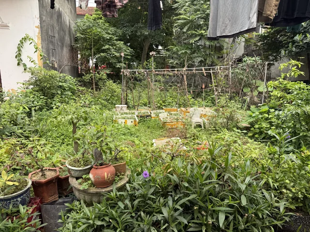 Bán đất 78m² full thổ cư ngang 5m giá 6.6 tỷ tại Đường Hà Huy Tập Xã Phù Đổng