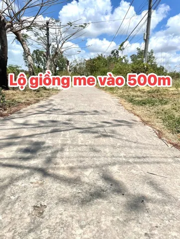 Bán đất 840m² ngang 12m giá 1.2 tỷ tại Phường Vĩnh Trạch