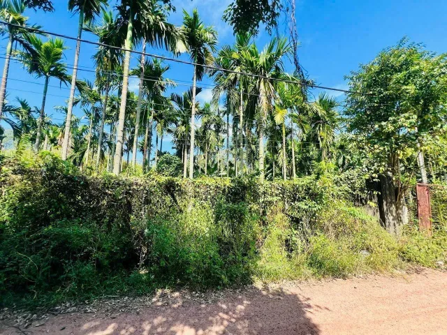 Hàng ngộp.
Bán đất thổ cư đường Ôtô xe Tải 1/ngắn An Nhơn Tây Củ Chi TPHCM, DT: 71x26m.