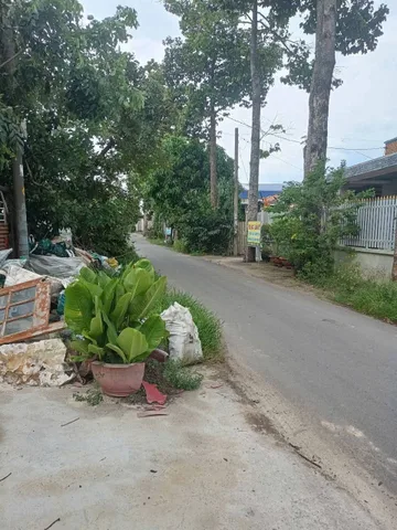 Bán nhà vườn mặt tiền nhựa 1/Tỉnh Lộ 15 sát chợ Sáng xã Tân Thạnh Đông Củ Chi TPHCM, DT: 12x46m.