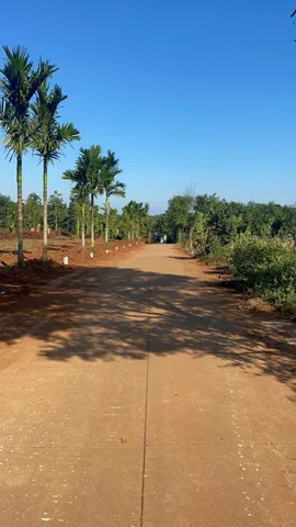 🔥 5 LÔ ĐẤT ĐẸP – GIÁ CỰC TỐT – CHỐT NHANH  EATIÊU giáp EAKAO – vị trí hiếm