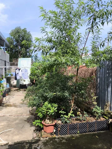 Bán đất 136.1m² có sẵn 136m² thổ cư ngang 4.2m giá 1.9 tỷ tại Xã Cần Giuộc