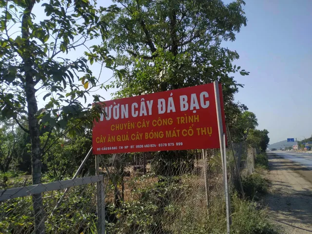 Đất Mặt Đường Ql10, Gia Minh, 100m2, Ngang 5m, l/h:076.231.9990 em Thúy