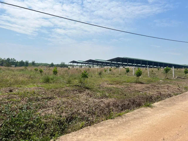 LÔ ĐẤT XÀO 1000M2 CỰC HIẾM PHÍA SAO CÓ SUỐI NẰM TRÊN KHU VỰC PHỦ HỒNG