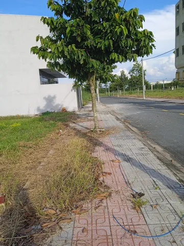 Đất chính chủ