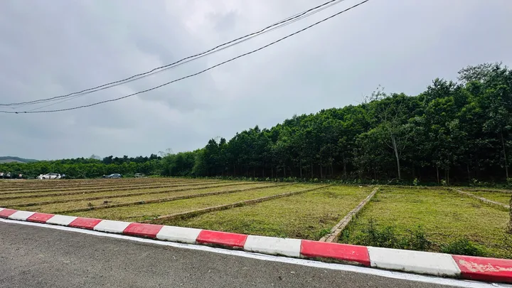 Cơ hội đầu từ đất nền giá tốt trung tâm xã An Bình chỉ từ 225tr/ lô