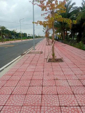 Bán đất 662.1m² full thổ cư ngang 29.2m giá 4.83 tỷ mặt tiền Đường D1 Xã Long Hồ