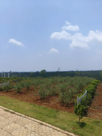 chính chủ kẹt vốn bán gấp lô đất vùng ven đà lạt dt150m2 sổ sẵn
