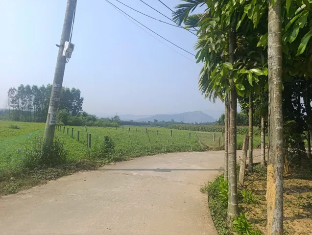 📌📌📌LÀM VIỆC TRỰC TIẾP GIÁ TỐT !!! Bán đất thôn Diêu Phong, xã Hòa Nhơn