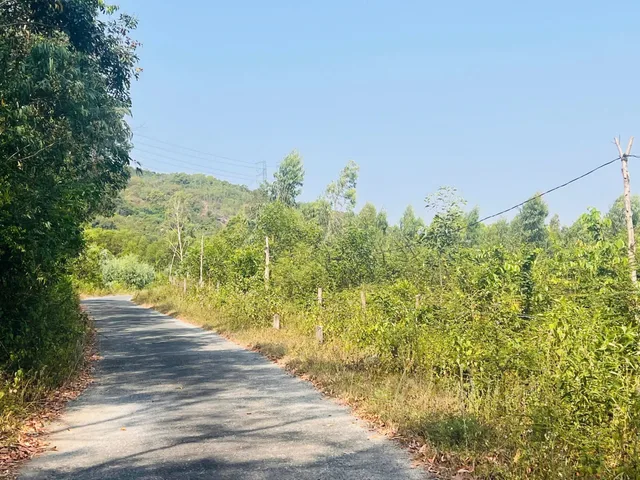 0938113403 Bán đất 15000m² ngang 145m giá 4.6 tỷ tại Phường Hòa Thắng Z512