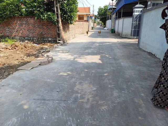 🔥 Bán lô góc TDP Tam Hưng 3 phường Nam triệu đường thông giá chỉ 890 .l/h:076.231.9990 e Thúy 

Dt : 76m hướng Đông Bắc 
Nằm trên trục đường thông rộng hơn 4m 
Dân cư đông đúc,giao thômg thuận tiện
Nằm gần chợ du lễ,nhà văn hoá,trường tiểu học