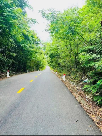 Cần bán lô đất full đất thương mại dịch vụ view biển