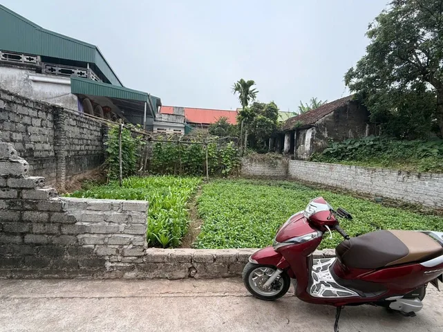 Bán đất 100m² full thổ cư ngang 9,9m giá 2.6 tỷ tại Xã Đại Xuyên thường xuyên