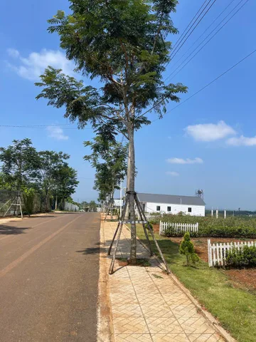 Bán Đất vùng ven Đà Lạt giá chỉ 2xxtr