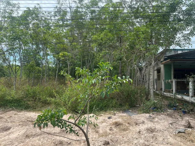 Bán đất 850.6m² ngang 13.5m giá 4.2 tỷ tại Xã Thanh An