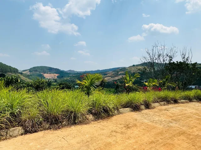 Đất ở thị trấn Nam Ban ven Đà Lạt view đồi núi. Giá 560 triệu/ 280m2. ngang 7m mặt tiền