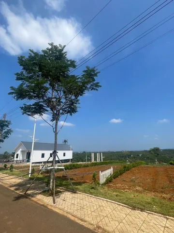 Bán Đất vùng ven Đà Lạt giá chỉ 2xxtr