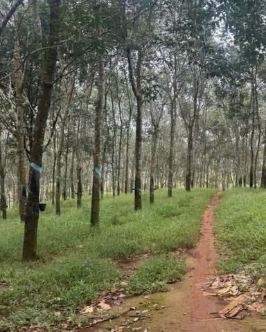 Bán đất tại ĐT755, 21 tỷ, 24854 m2, phù hợp kinh doanh