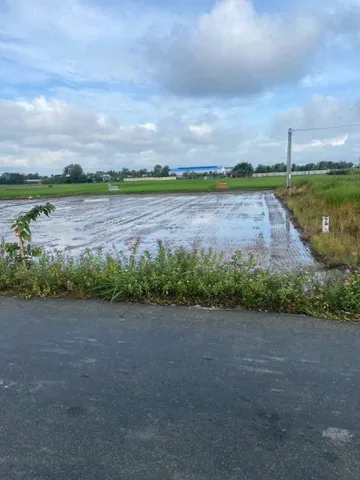 🔥 CHÍNH CHỦ BÁN ĐẤT MỸ LỆ – 1000 M² – GIÁ 2.5 TỶ