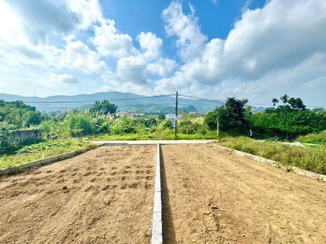 124m và 119.7m - 2 lô FULL THỔ CƯ - TRỤC CHÍNH LIÊN THÔN: XÃ XUÂN MAI- HN