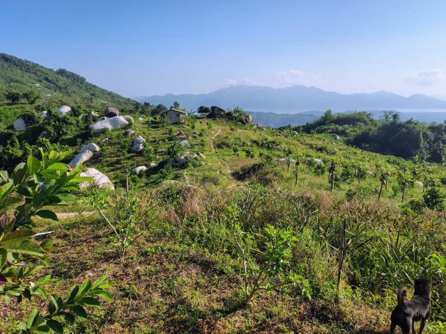 Bán khu vườn view biển Bãi Dài, Cam Ranh, Khánh Hoà