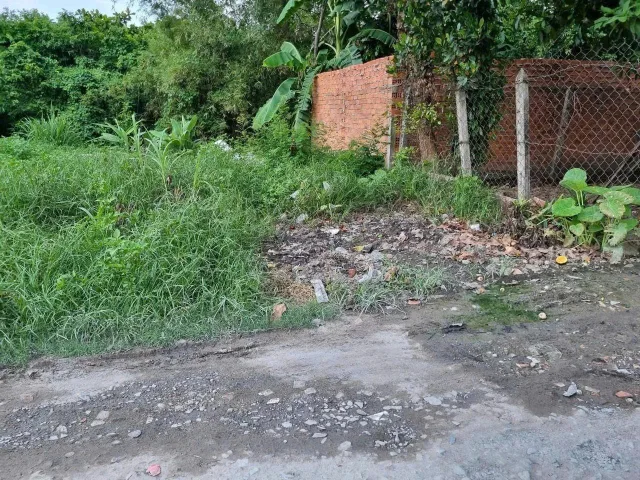 Đất rẻ Củ Chi – MT đường tự chừa, Phú Hòa Đông, 10x28m giá 3,3 tỷ