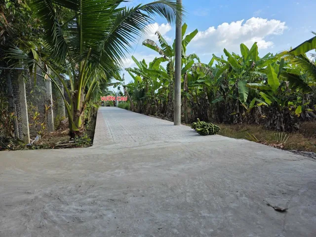 Nền lộ xe hơi