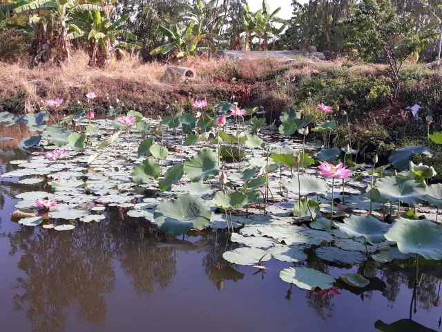 ĐẤT ĐẸP – GIÁ TỐT CẦN BÁN GẤP LÔ ĐẤT VỊ TRÍ ĐẮC ĐỊA TẠI Xã Phan Lâm. Bắc Bình, Bình Thuận