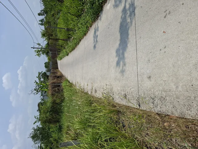 Bán miếng đất vườn 3367m hưng long bình chánh