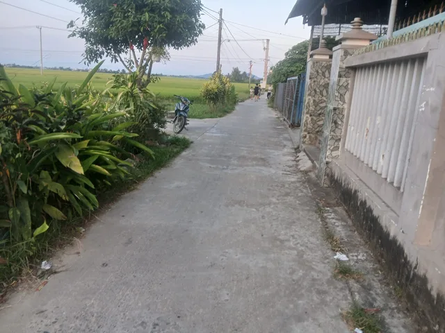 Bán Nhà Cấp 4, 15x25 Thôn Phú Nhiêu, xã Hòa Mỹ Đông, Huyện Tây Hòa. Giá 200 Triệu.