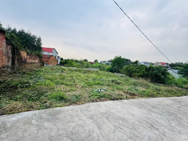 💪💪NĐT tìm đâu ra lô hơn 600m 120 tc đường oto tận đất, gần kcn thái đào tân an giá hơn 5tr/1m.
☎️☎️Lh 0326590859 em Thanh để biết thông tin chi tiết