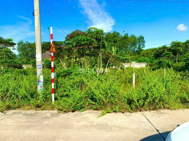 Đất rẻ Củ Chi – Tân An Hội, đường thông, 5x30m full thổ giá 1,6 tỷ