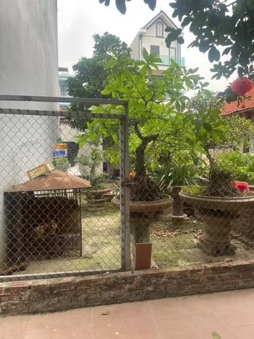 41,4 cao xá, đức thượng, giáp vành đai 4. Cách ô tô đỗ ngày đêm 80m. Không có ô số 2 với tài chính loanh quanh 3 t.ỷ.💕