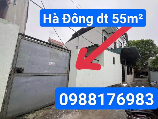 Bỏ phố về quê chăn dê, bán gấp mảnh này em về quê trong tuần