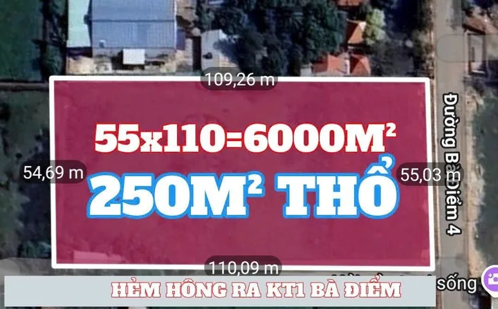 Bán đất 6000m² có sẵn 260m² thổ cư ngang 55m giá 69 tỷ tại Đường Bà Điểm 4 Xã Bà Điểm