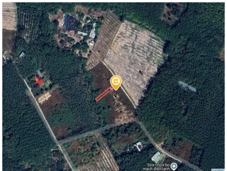 0931.783.209  Bán đất 293.6m² có sẵn 100m² thổ cư ngang 5m giá 280 triệu tại Xã Tân Khai