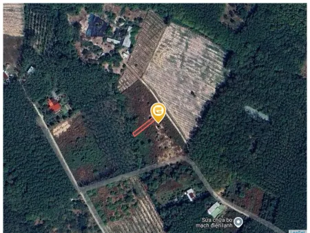 0931.783.209 Bán đất 297.9m² có sẵn 100m² thổ cư ngang 5m giá 395 triệu tại Xã Tân Khai
