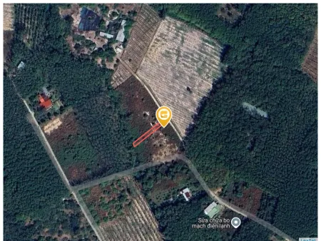 0931.783.209 Bán đất 310.9m² có sẵn 100m² thổ cư ngang 5m giá 385 triệu tại Xã Tân Khai