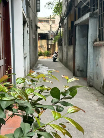 BÁN NHÀ ĐẸP NGÔ GIA TỰ, VIỆT HƯNG, LÔ GÓC, Ô TÔ ĐỖ CỬA, NGÕ RỘNG THÔNG THOÁNG