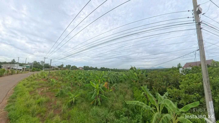 Bán Lô Đất nằm sau sân bay long thành, Đồng Nai.
