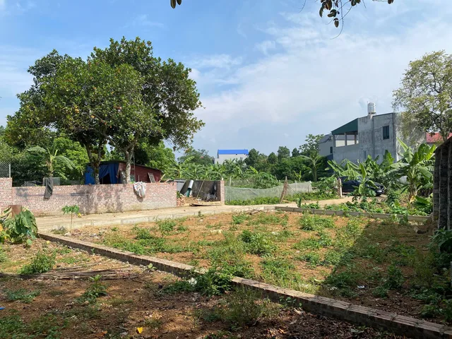 CHÚ EM CÓ ĐẤT BÁN 100M2 THỔ CƯ MT 8M ÔTÔ 4M HẠ BẰNG GẦN HÒA LẠC GIÁ 3X HH 30TR