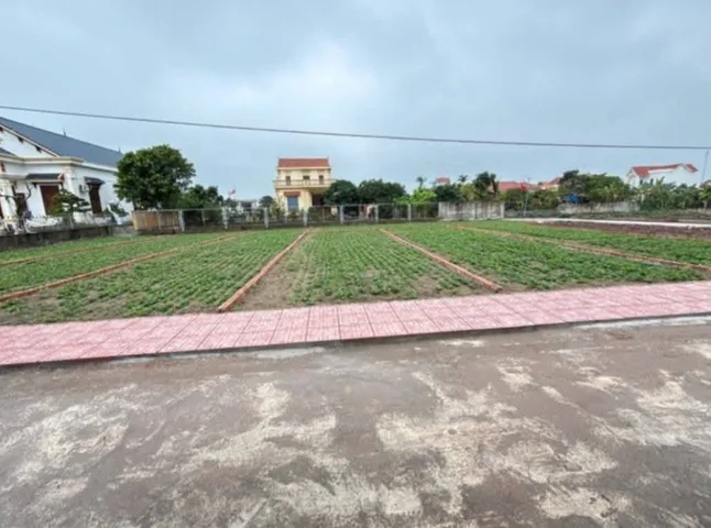 Nhỉnh 1TỶ/lô đất BIỂN – Kề cận khu Kinh Tế NINH CƠ - NAM ĐỊNH: phân ô bàn cờ, sẵn sổ. Lh: 0981691509 
  + Vị trí đẹp, chỉ vài bước chân là ra biển. Ngay đường bộ ven biển, ô tô vào tận đất, di chuyển cực kỳ thuận tiện.
  + Nằm ngay khu kinh tế Ninh Cơ –