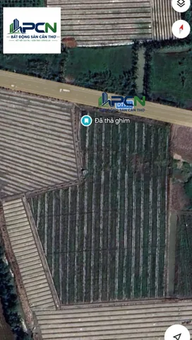 Bán đất 11800m² ngang 75m giá 20.06 tỷ tại Đường Tỉnh 922 Xã Trường Thành