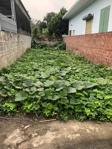 Lô đất 75m2 ngang 4,5 trung tâm Quảng Thanh chủ cần bán 
Lh 0898266583
