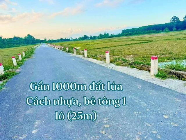 Bán đất lúa Cam Lâm - giá tốt